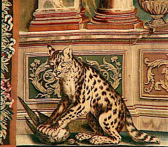 Les Maisons Royales : Château Vieux Saint Germain (2e entrefenêtre)_2