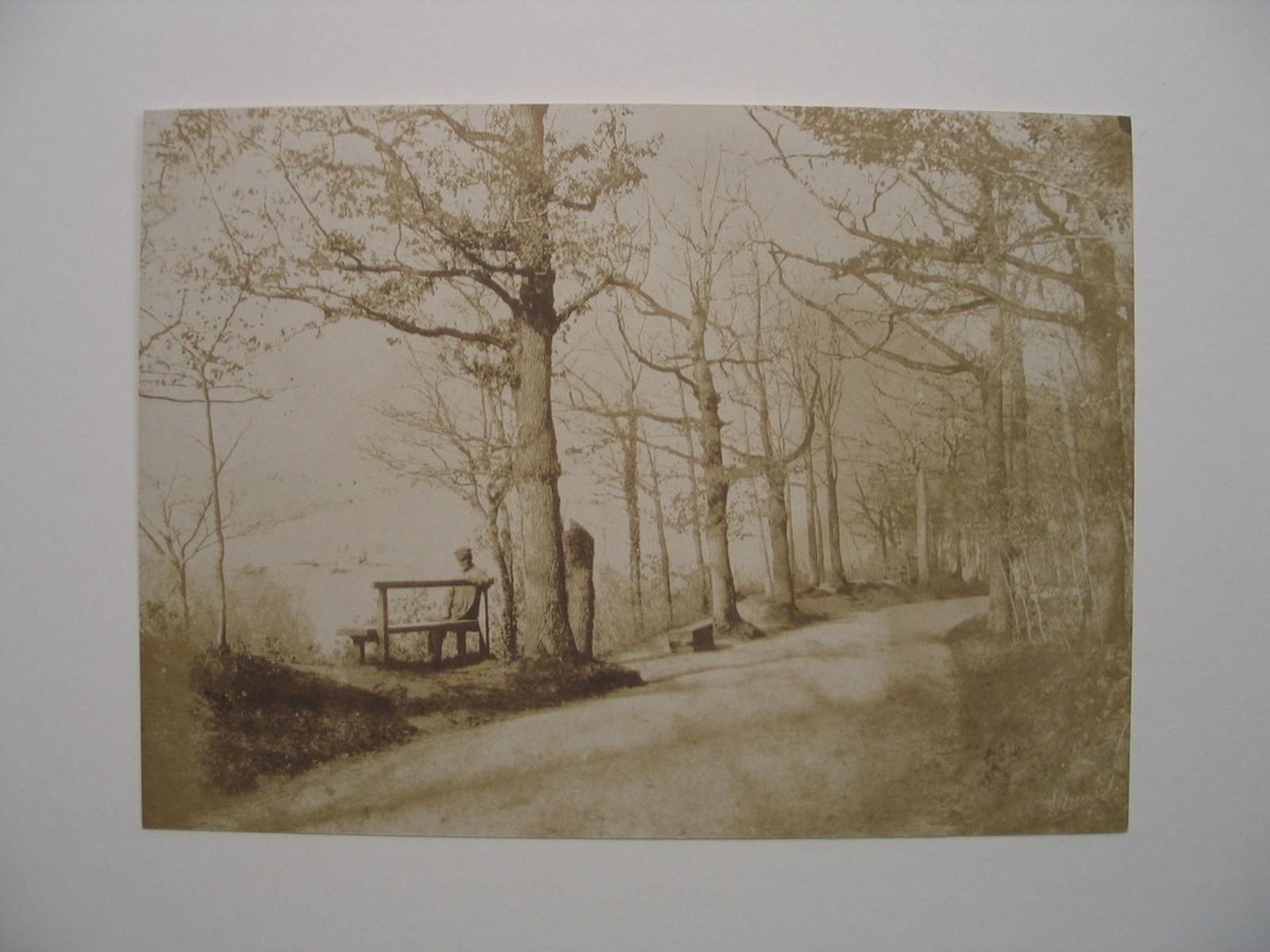 Le Parc du château de Pau, John Stewart, 1850 vers