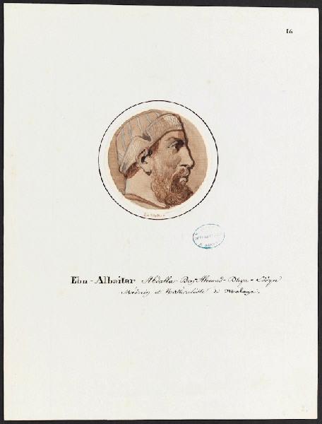Série de portraits d'Arabes célèbres pour le service Mauresque : Portrait d'Ibn-Albaitar, Charles Emile Wattier, 1ère moitié 19e siècle