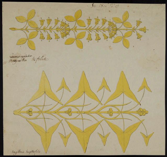 Eléments décoratifs [Fleurs], Alexandre Théodore Brongniart, 1805
