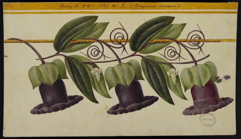 Eléments décoratifs [Ornement, frise fleurs], Alexandre Théodore Brongniart, 1805
