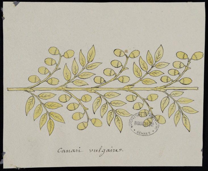 Eléments décoratifs [Ornement, frise fleurs], Alexandre Théodore Brongniart, 1er quart 19e siècle