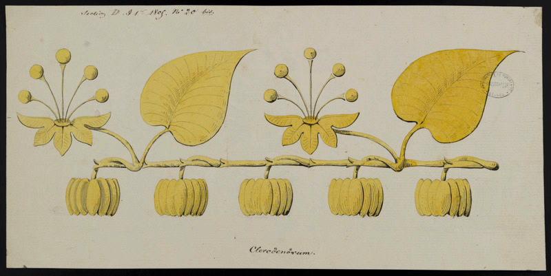 Eléments décoratifs [Ornement, frise fleurs], Alexandre Théodore Brongniart, 1805