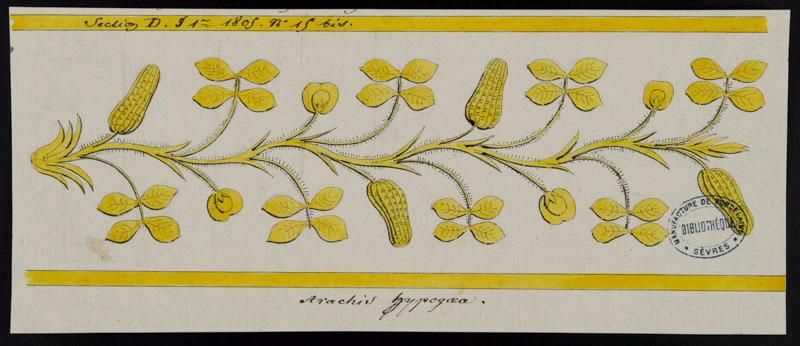 Eléments décoratifs [Ornement, frise fleurs], Alexandre Théodore Brongniart, 1805