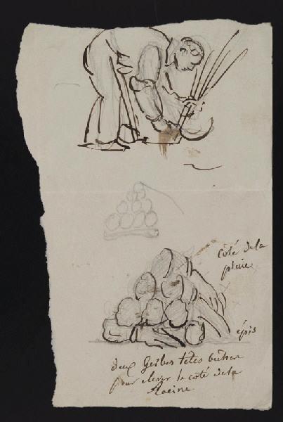 Eléments décoratifs, Jean-Charles Develly, 1ère moitié 19e siècle