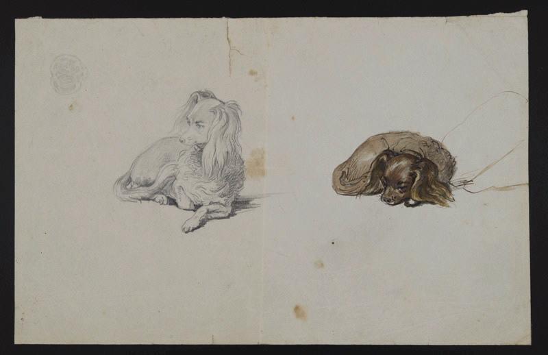 Eléments décoratifs, Jean-Charles Develly, 1ère moitié 19e siècle