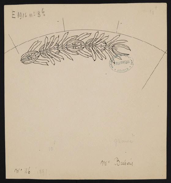 Elément décoratif [Marli d'assiette], Henri Barberis, 1897