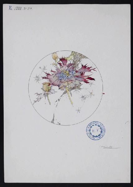 Eléments décoratifs [Assiette], Jules Auguste Habert-Dys, 4e quart 19e siècle
