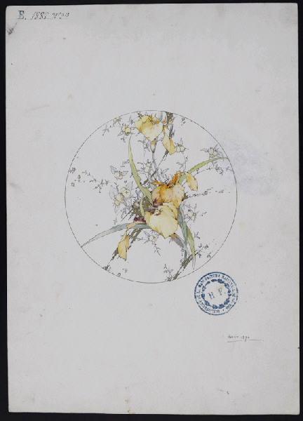Eléments décoratifs [Assiette], Jules Auguste Habert-Dys, 4e quart 19e siècle