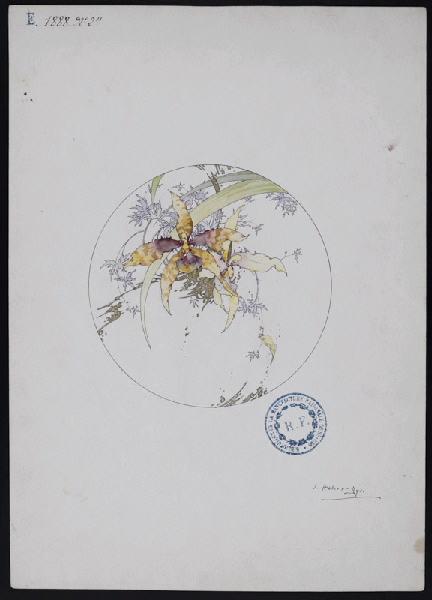 Eléments décoratifs [Assiette], Jules Auguste Habert-Dys, 4e quart 19e siècle