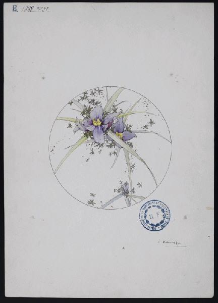 Eléments décoratifs [Assiette], Jules Auguste Habert-Dys, 4e quart 19e siècle