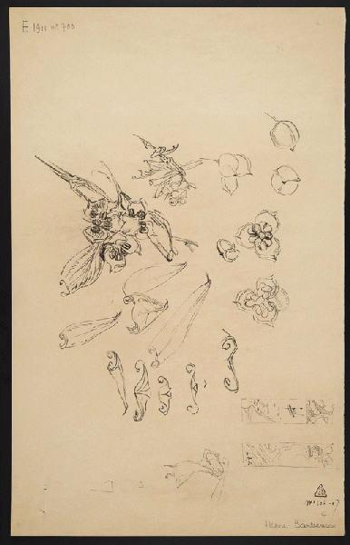 Vase de Noisy, Henri Barberis, 1907