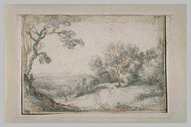 Paysage boisé_0