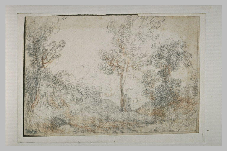 Paysage avec arbres et arbustes_0