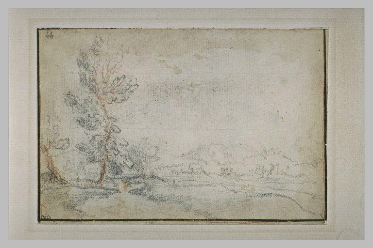 Paysage de collines boisées_0