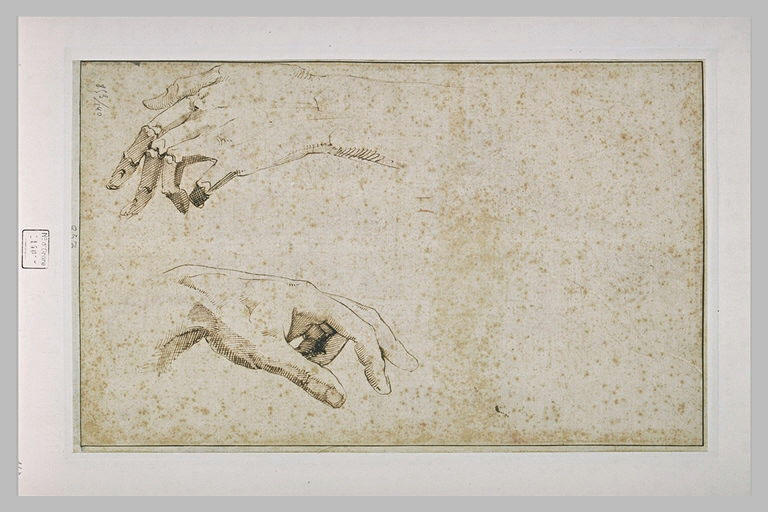 Deux études de mains_0