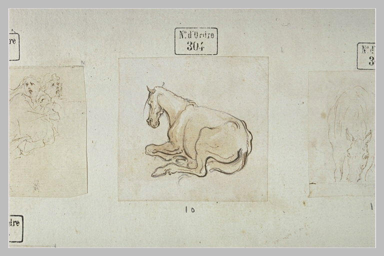 Un cheval couché, vu de dos, tourné vers la gauche_0