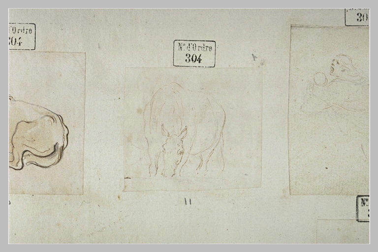 Un cheval broutant_0