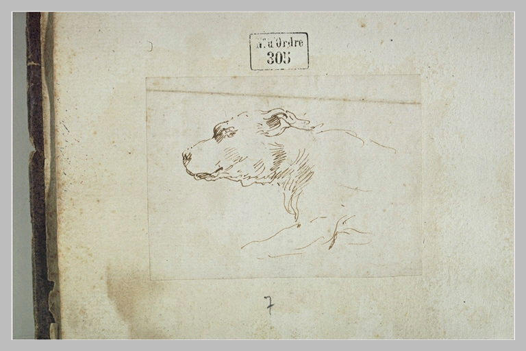 Partie antérieure d'un chien_0