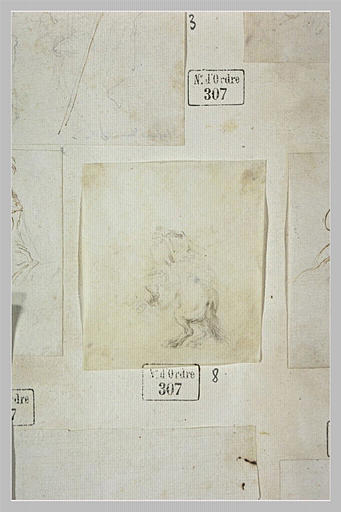 Cavalier de dos faisant cabrer son cheval_0