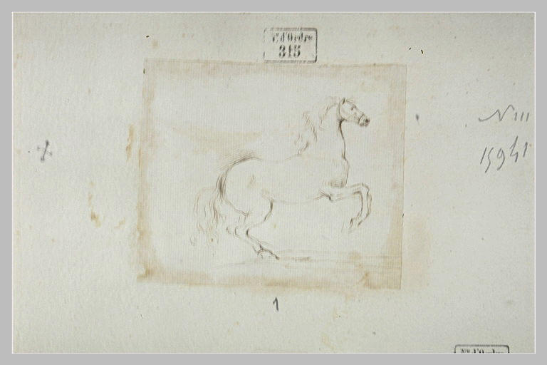 Cheval de profil se dressant sur ses postérieurs_0