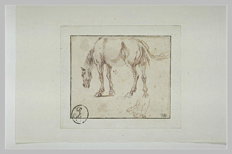 Cheval broutant ; croquis d'une jupe et de deux pieds_0