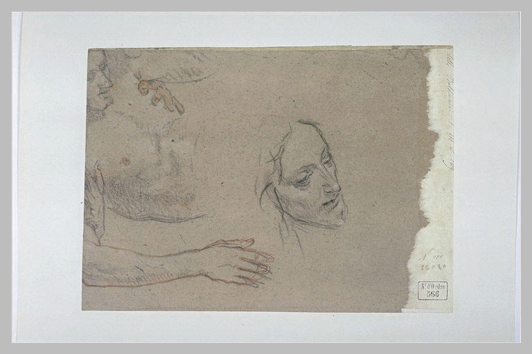 Demi figure allongée et reprise de la tête_0