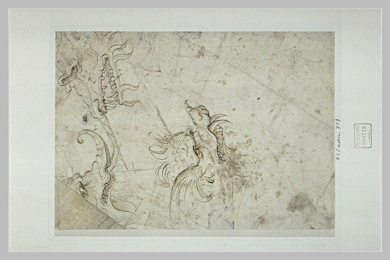 Tête d'animaux fantastiques_0