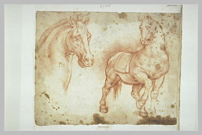 Etude d'un cheval, et d'une tête de cheval_0