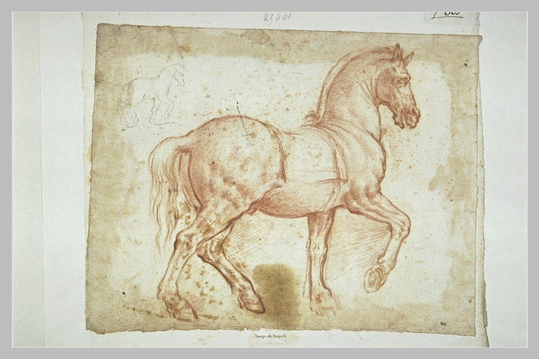 Cheval marchant vers la droite, portant sur la selle l'emblème des Médicis_0