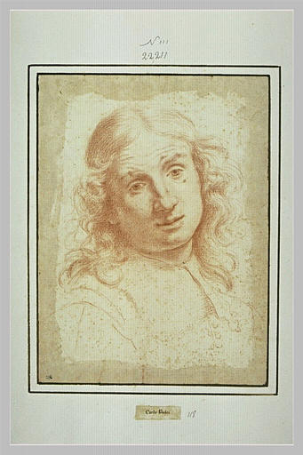 Tête d'homme aux cheveux longs vue de face_0