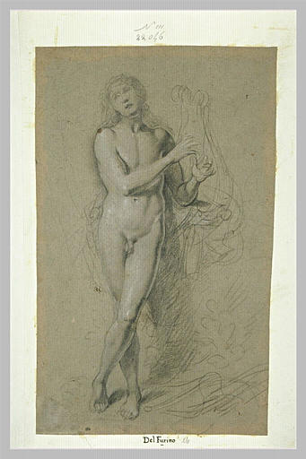 Jeune homme, debout, jouant de la lyre : Apollon ?_0
