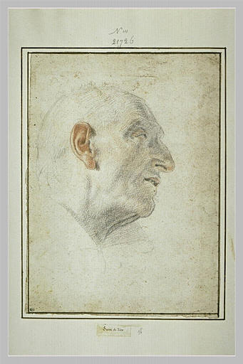 Tête d'homme âgé, de profil_0