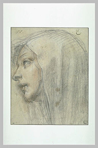 Visage de sainte Catherine de Sienne, de profil à gauche_0