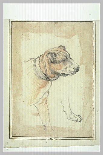 Tête et partie antérieure d'un chien ; reprise d'une patte_0