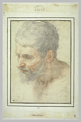 Tête d'homme barbu, tournée vers la gauche, regardant vers le bas_0