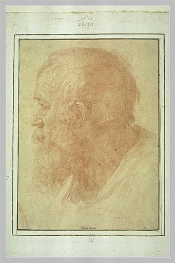 Tête d'homme barbu, de profil, tournée à gauche_0