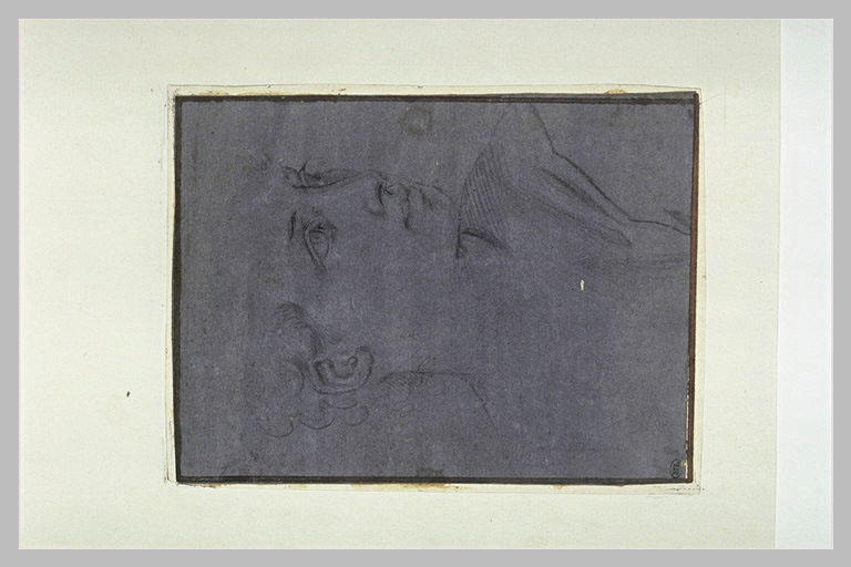 Tête de jeune homme, de profil vers la droite_0