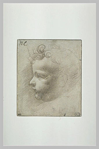 Tête d'enfant de profil_0