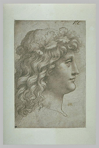 Tête de jeune homme couronné de feuilles de chêne_0