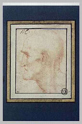 Tête d'homme âgé de profil à gauche_0