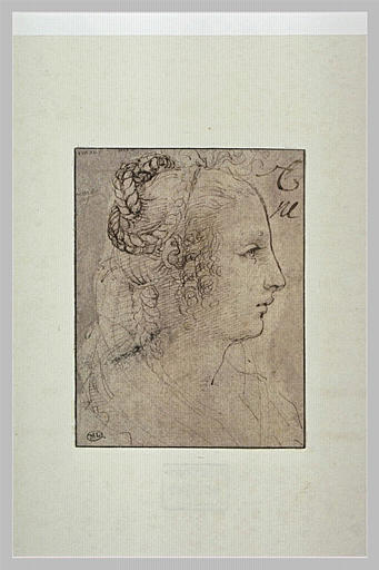 Tête de femme, de profil, les cheveux nattés_0