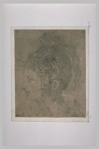 Tête de femme avec coiffure maniérée, vue de profil vers la gauche_0