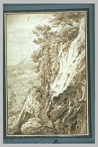 Paysage avec de grands rochers recouverts de brousailles_0