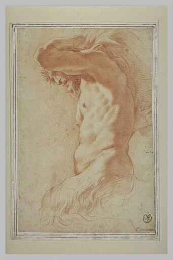 Etude d'un buste de satyre portant une draperie (?)_0
