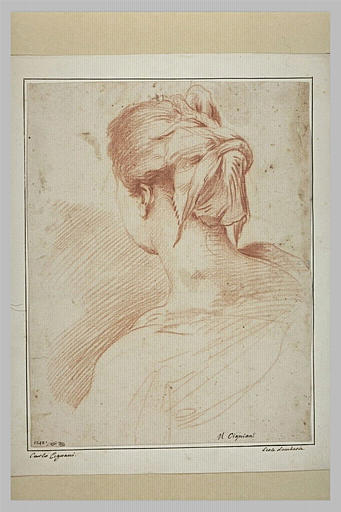 Une tête de femme vue de dos_0