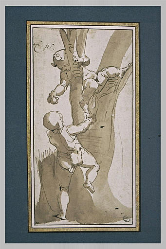 Deux enfants jouant dans un arbre_0