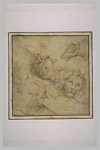 Etude de cinq têtes d'animaux : lion, bouc, cheval, sanglier, ours_0
