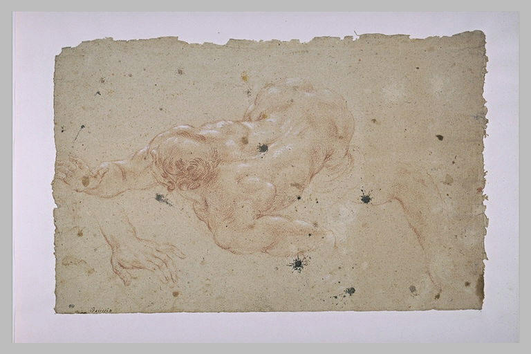 Une figure nue, étendu sur le ventre, vue du dessus ; une main et un bras_0