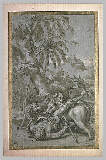 La mort d'Adonis_0